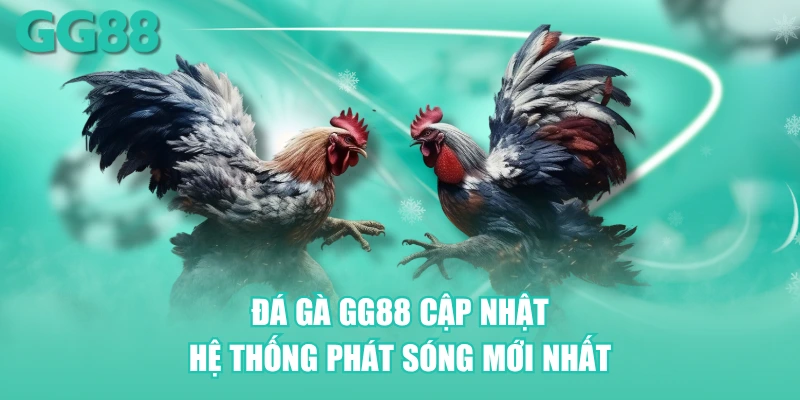 Đá gà GG88 cập nhật hệ thống phát sóng mới nhất